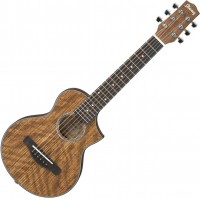 Photos - Acoustic Guitar Ibanez EWP14WB 