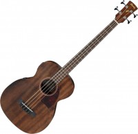Acoustic Guitar Ibanez PCBE12MH 