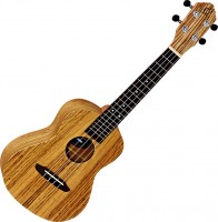 Photos - Acoustic Guitar Ortega RFU11Z 