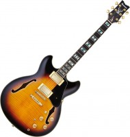 Guitar Ibanez JSM10 
