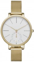 Photos - Wrist Watch Skagen SKW2436 