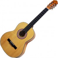 Photos - Acoustic Guitar Homage LC-3911 