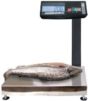 Photos - Shop Scales Massa-K MK-15.2-AB11 