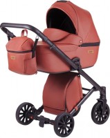 Photos - Pushchair Anex Discovery 2 in 1 