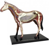 Photos - 3D Puzzle 4D Master Horse Anatomy Model 26101 