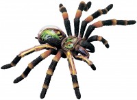 Photos - 3D Puzzle 4D Master Tarantula Spider Anatomy Model 26112 