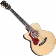 Photos - Acoustic Guitar Gibson Parlor Rosewood AG 2018 LH 