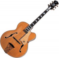 Photos - Guitar Gibson Citation 