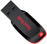 Photos - USB Flash Drive SanDisk Cruzer Blade 2 GB