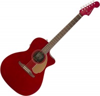 Photos - Acoustic Guitar Fender Newporter Player 