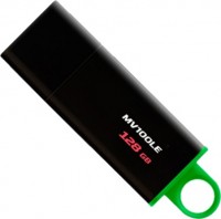 Photos - USB Flash Drive Kingston DataTraveler 3.1 128 GB