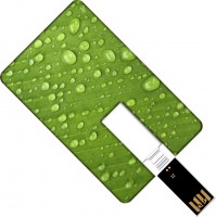 Photos - USB Flash Drive GOODRAM Plastic Credit Card 32 GB