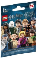 Photos - Construction Toy Lego Harry Potter and Fantastic Beasts Series 1 71022 
