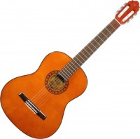 Photos - Acoustic Guitar Valencia CG178 