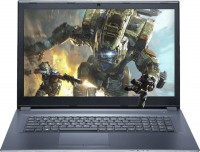 Photos - Laptop Dream Machines Clevo G1060-17 (G1060-17UA33)