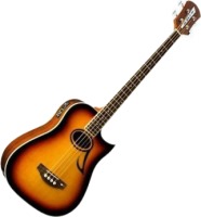 Photos - Acoustic Guitar EKO Florence EQ 