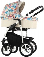 Photos - Pushchair RETRUS Danco Eco  2 in 1