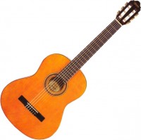 Photos - Acoustic Guitar Valencia VC103 