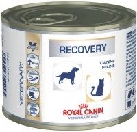 Photos - Cat Food Royal Canin Recovery Canned 