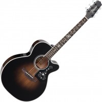 Photos - Acoustic Guitar Takamine EF450C-TT 