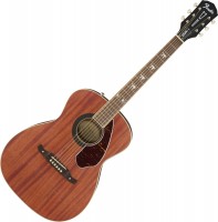 Photos - Acoustic Guitar Fender Tim Armstrong Hellcat 