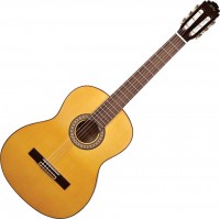 Photos - Acoustic Guitar Manuel Rodriguez C3FLAM 