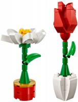 Photos - Construction Toy Lego Flower Display 40187 