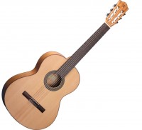 Acoustic Guitar Alhambra 2F 