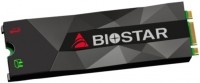 Photos - SSD Biostar M500 M500-1TB 1 TB