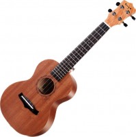 Photos - Acoustic Guitar Enya EUC-20 