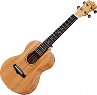 Photos - Acoustic Guitar Enya EUS-25D 