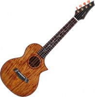 Photos - Acoustic Guitar Enya EUT-K6 