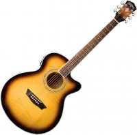 Acoustic Guitar Washburn EA15 
