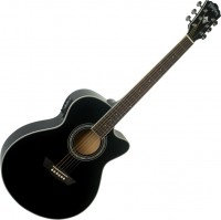 Acoustic Guitar Washburn EA12 
