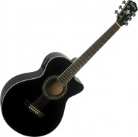 Acoustic Guitar Washburn EA10 