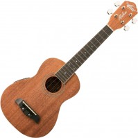 Photos - Acoustic Guitar Washburn OU2E 