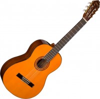 Acoustic Guitar Washburn C5 