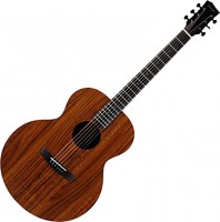 Photos - Acoustic Guitar Enya EM-X1+ 