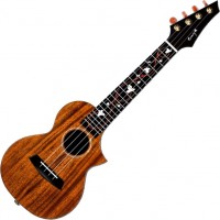 Photos - Acoustic Guitar Enya EUT-MG6 