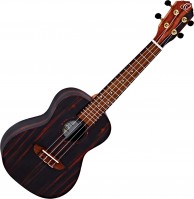 Acoustic Guitar Ortega RUEB-CC 