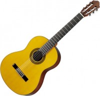 Photos - Acoustic Guitar Walden SN550G 