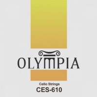 Photos - Strings Olympia Cello CES-610 