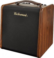 Photos - Guitar Amp / Cab Richwood RAC-50 