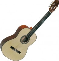 Photos - Acoustic Guitar Valencia CG200 