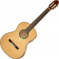 Photos - Acoustic Guitar Valencia CG195+ 