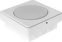 Photos - Speakers Penton SENTRY6ST/ENC 