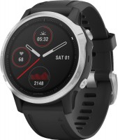 Smartwatches Garmin Fenix 6S 