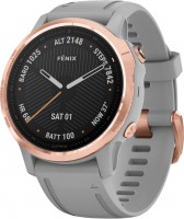 Photos - Smartwatches Garmin Fenix 6S  Sapphire