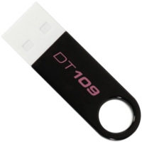 Photos - USB Flash Drive Kingston DataTraveler 109 16Gb 