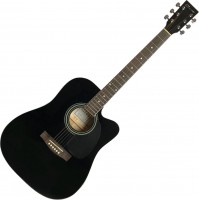 Photos - Acoustic Guitar Caraya F601 